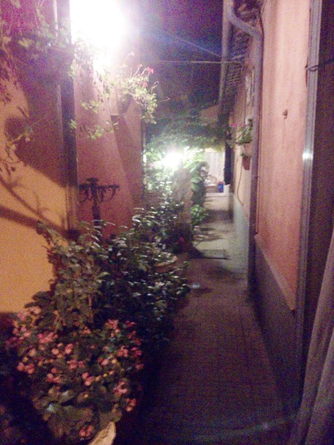 Casa "Oasi" Centro Storico Apartment Tuscania Luaran gambar