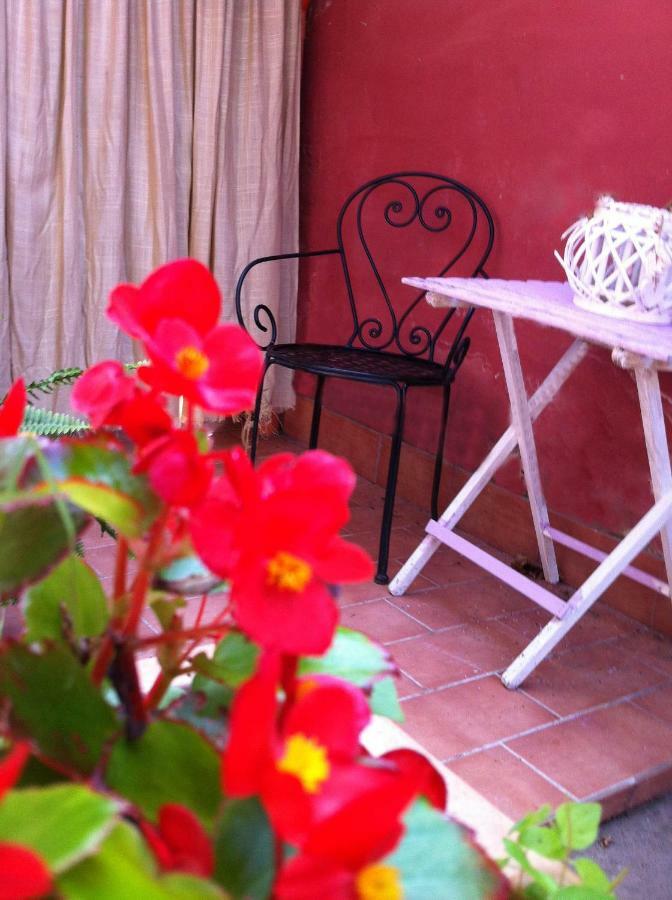Casa "Oasi" Centro Storico Apartment Tuscania Luaran gambar